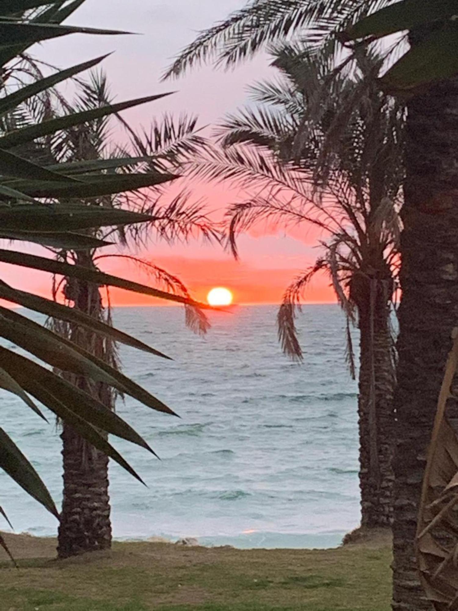 Oasis En Playamar Con Piscina Appartement Torremolinos Buitenkant foto